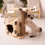 a cat playing with a scratching post in a living room