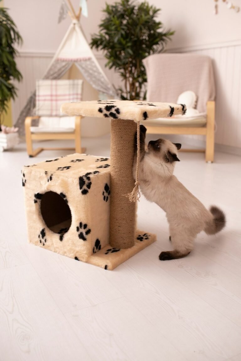 a cat playing with a scratching post in a living room