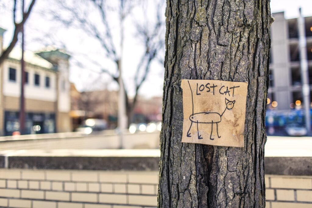 lost cat, tree, sign