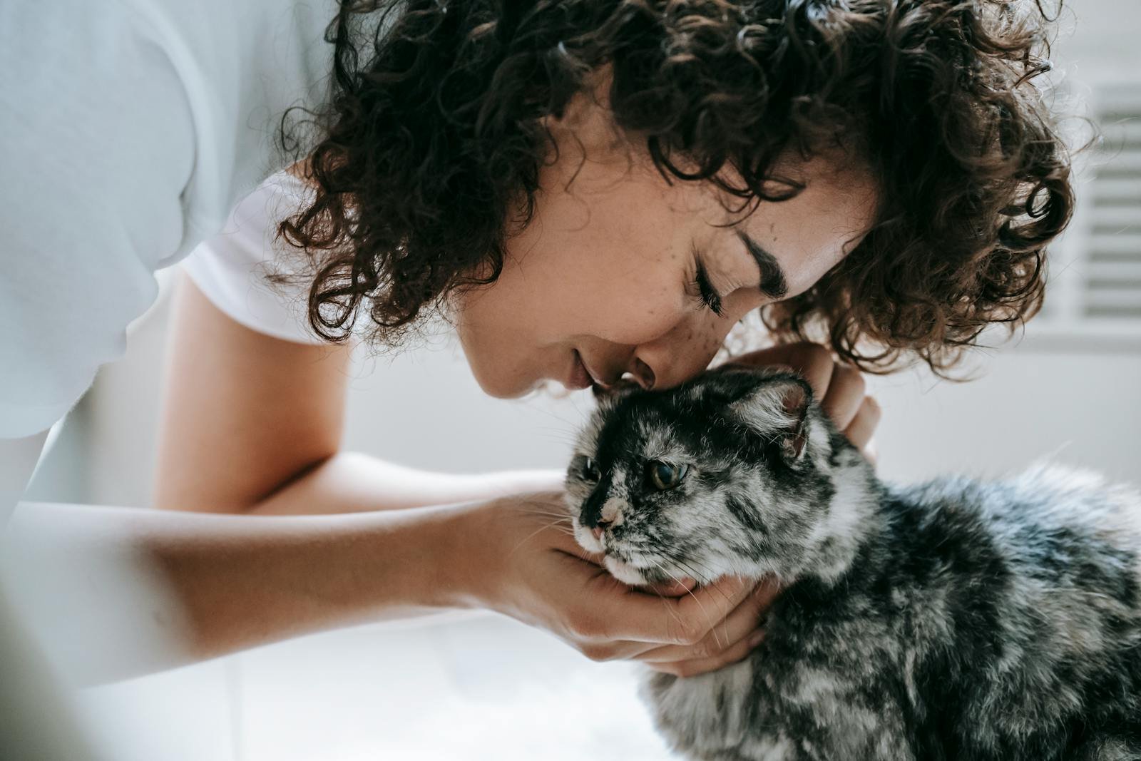 Crop content woman with curly hair caressing and touching with nose fluffy cat