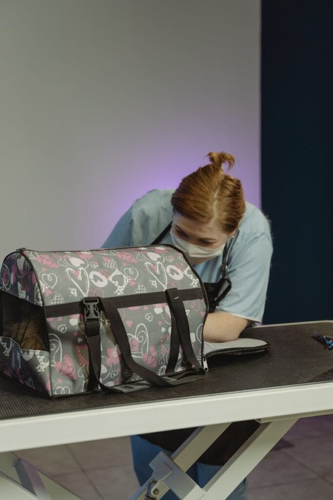 Professional pet groomer tending to a pet carrier on a grooming table.