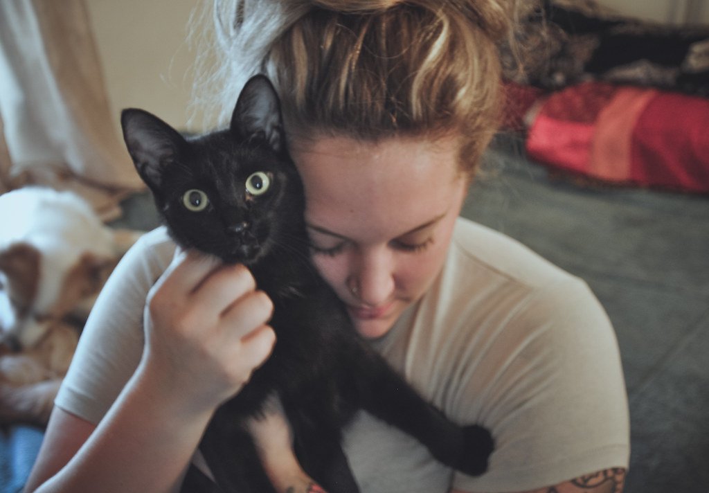 Black cat with woman